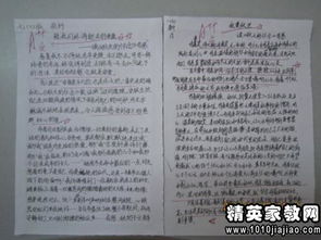 游___作文范文400字（游青华湖的作文？）