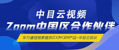 在国外开了分公司，需要一款权威的视频会议软件，谁知道哪个比较好用？