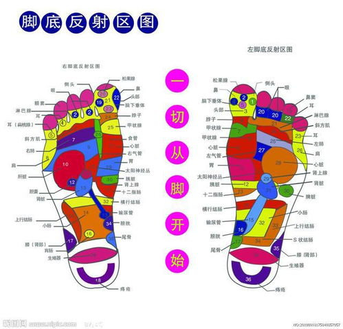 脚底反射区疼痛说明图 搜狗图片搜索
