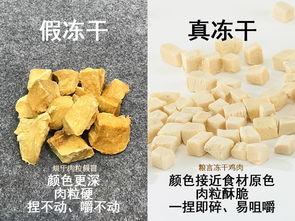 宠物零食怎么挑 因宠而异 粮言有诀窍