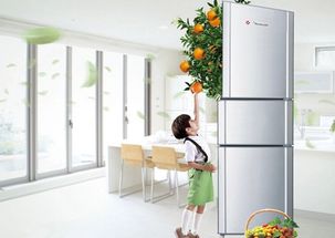 容声冰箱触屏怎么调温