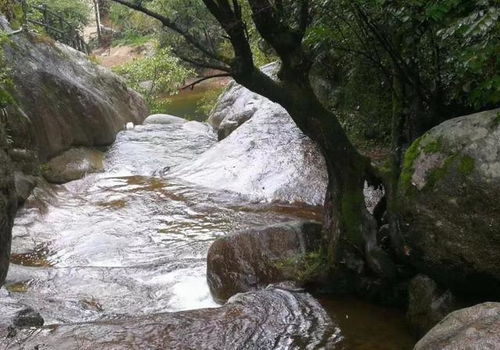 河南又一避暑胜地 不要门票,50元包吃住,适合小住几日