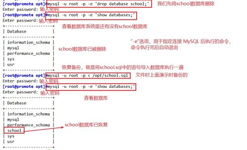 管理日志范文（mysql数据库日志文件怎么管理？）