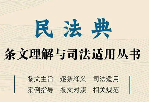 民法典时代 系统学习法律理论和全面指导司法实践的必备案头书