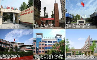 成都本科大学(成都都有哪些大学)