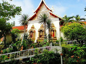 清迈芭提雅曼谷旅游攻略 成都到泰国旅游攻略