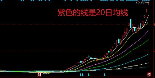 今天买入的股票是不是要等明天才能卖出？