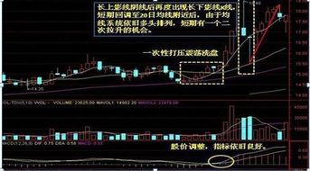 想知道庄家机构买一支股票，如1000万或更多资金打入，像这么大的单能马上交易成功吗，还是要分开下单