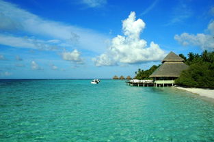 马尔代夫海边度假攻略如何省钱如何选择酒店如何玩转海岛之旅