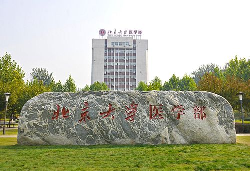 北京大学医学部临床医学专业