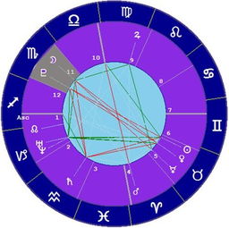 星座与宫位的关系 天蝎座十一宫 