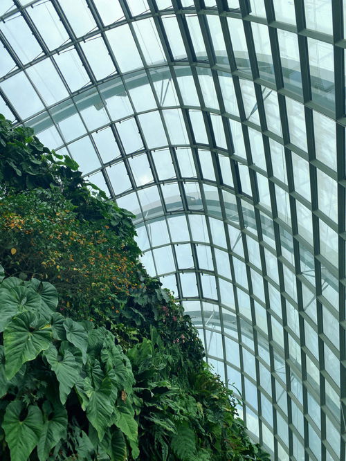 打卡新加坡地标性建筑之一,滨海湾花园 