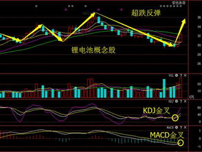 如果判断股价是否属于震荡，应该以多少日的平均线做参考呢？