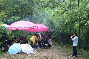 下雨天户外怎么直播(户外下雨怎么办)