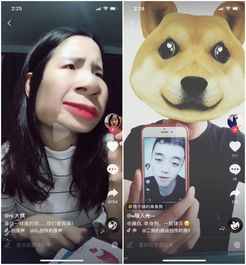抖音推出新功能 尬舞机 ,力压微信支付宝成App Store第一 搜狐科技 搜狐网 