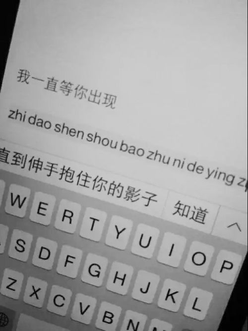 什么软件把自己的照片和想打的文字弄上去旁边是键盘 