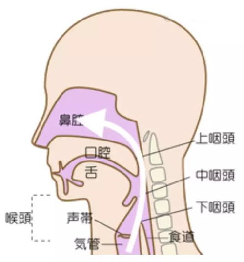 音乐生 隆鼻后唱歌声音都变了 