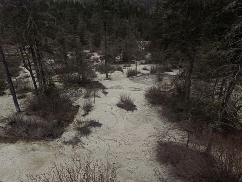 五一假期四川黄龙风景区避雷 