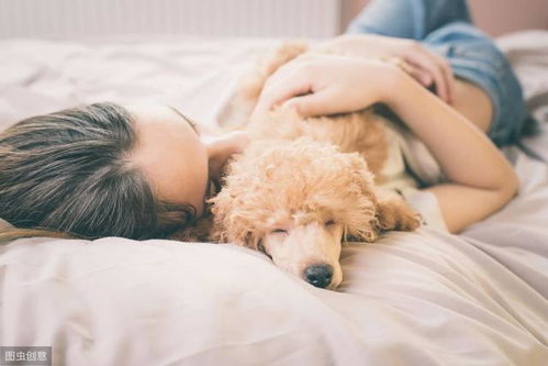 狗狗挨着你睡,除了它喜欢你,还有这6点原因