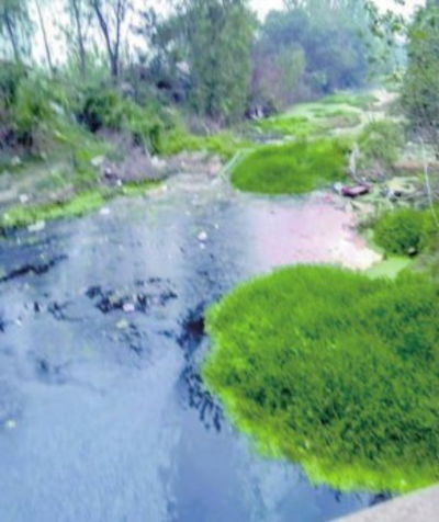 龙须沟逐清流 孝南区城郊黑臭水体成功脱 黑 碧波荡漾