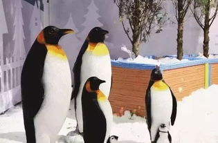 企鹅中最强大的两个家族是什么(企鹅家族叫什么名字)