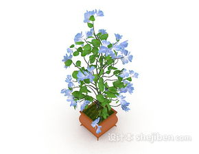 室内兰花盆栽3d模型下载