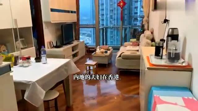 香港高才工作住哪里比较好(在香港工作好还是内地工作好)