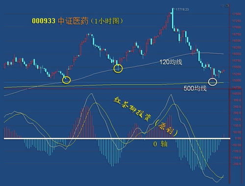 在股票里区域板块是什么意思？