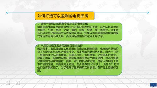 品牌电商运营方案.ppt