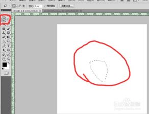 PS中的套索工具怎么使用