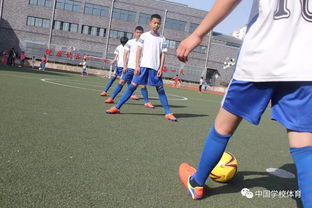 校园足球 推荐阅读 学足球脚内侧传球教学目标的构思与设计 