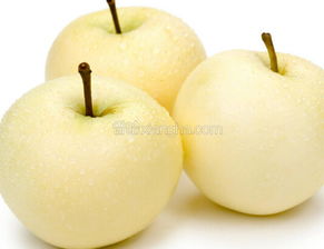 苹果梨(苹果梨属于梨吗)