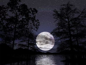 月亮,诗句,一段话