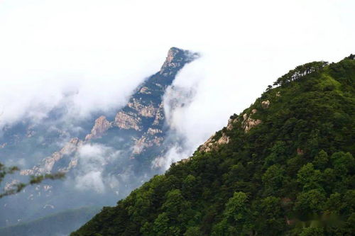 周末2日 泰山 夜爬登高 看日出 观云海 一览众山小,登山必来 五岳独尊尽在泰山,经典户外南 北线穿越