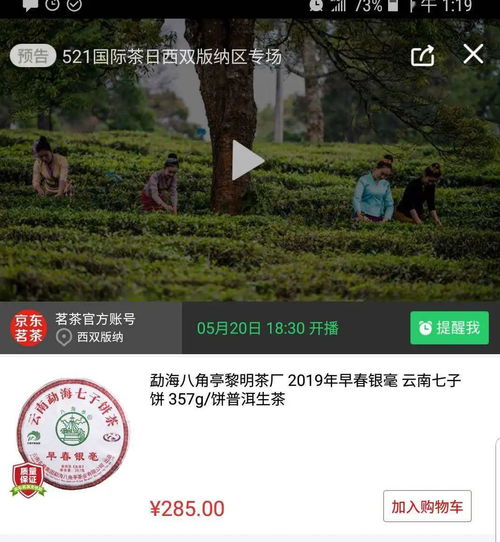 西雙版納直播帶貨公司哪家好(西雙版納抖音網(wǎng)紅有哪些)