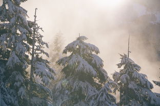 塞外雪景，大自然的壮丽画卷，形容塞外雪景的词语有哪些