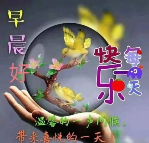 问候早安优美的句子