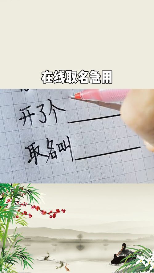 线上律师取名怎么取名的,律师视频号名字怎么取