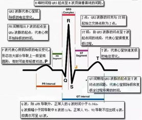 什么是vps?vps的价位和性能怎么样?