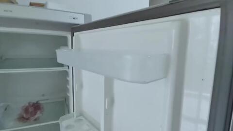 冰箱门缝隙胶条处有蟑螂怎么处理好