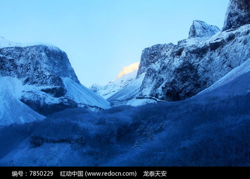 雾凇积雪远山高清图片下载 红动网 