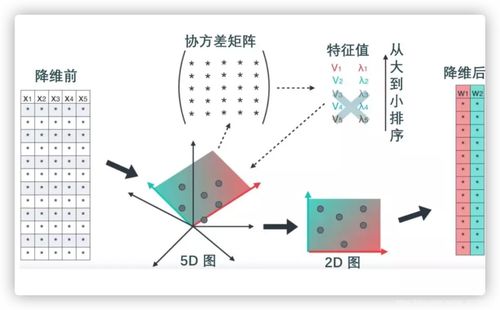 adam算法原理(神经网络模型中的adam算法)