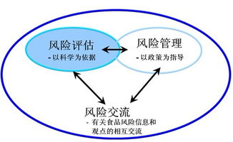 安全评估报告范文精选