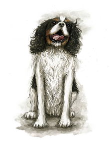 来自英国伦敦Dave Bond插画师的宠物狗狗插画作品