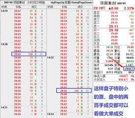 一只股票的大单，是以什么标准确定的呢？