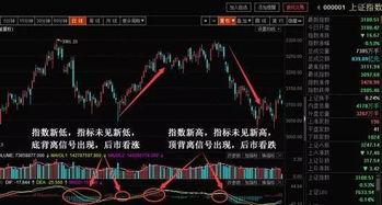 统计上涨股票的成交量（大智慧公式） 上涨量：IF(C>；REF(C，1)，VOL，0)； 这样遍是否有问题？