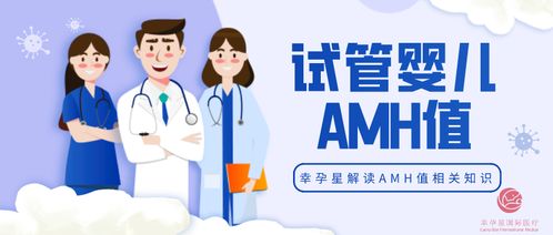 amh是什么检查项目(AMH值是什么,试管婴儿,检查项目)