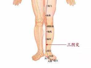 艾灸太冲穴和足三里后肚子不舒服大便还多什么原因(艾灸足三里后肚子疼是咋回事)