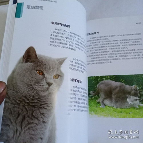 猫繁育指导手册 精装