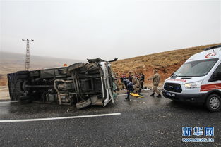 土耳其客车翻车致7人死亡 